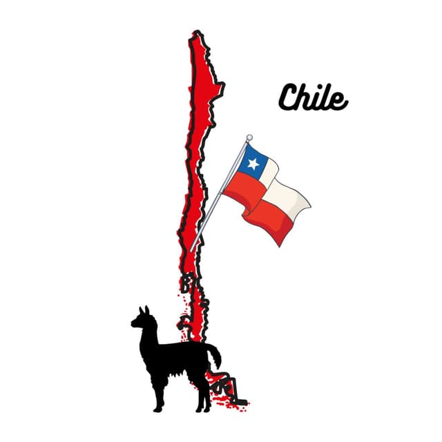 (Vý)letový režim #22: Chile - Stáž na Českém Velvyslanectví